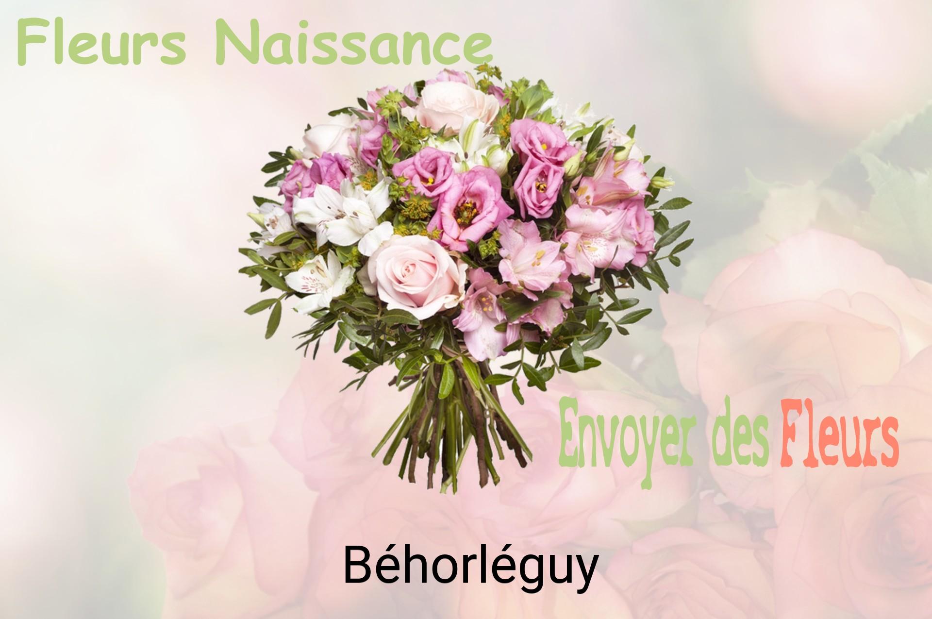 Bouquet de fleurs de naissance livré à Béhorléguy